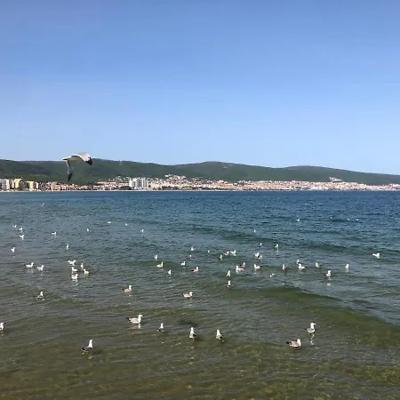 Sirena Blisko Do Morza Sveti Vlas